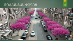 «Եղածները դարն ապրել են». քաղաքային իշխանությունները ծրագրում են հարյուրավոր ծառեր նորերով փոխարինել