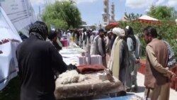 د پکتیا مالداران د څارویو محصولاتو لپاره بازار غواړي
