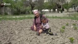 Сузакта фундук өстүргөн багбан байбиче