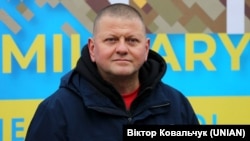 Валерий Залужный