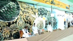 په خوست کې د کورنیو تولیداتو ۳ ورځنی نندارتون روان دی