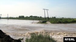 В селах все больше звучат мнения, что затопление было специально организовано чиновниками с целью последующего переселения сел и захвата плодородных земель