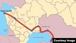 Каспий кууру