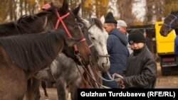 Кыргызстандагы мал базарлардын бири. Архив.