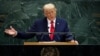 Трамп: страны НАТО «финансируют войну против себя», покупая российские энергоносители