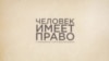 Мертвые птицы, черные пляжи