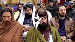 طالب چارواکي شاعرانو ته: افغانان یووالي او ورورۍ ته راوبلئ