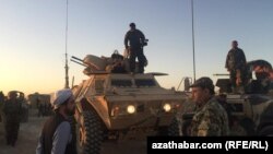 Фаряб провинциясында бир айдан бери талиптерге каршы аскерий операция жүрүп жатат