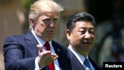 Дональд Трамп жана Си Цзиньпин