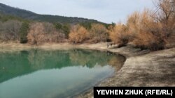 Zumrud-altın tüslü etüdler