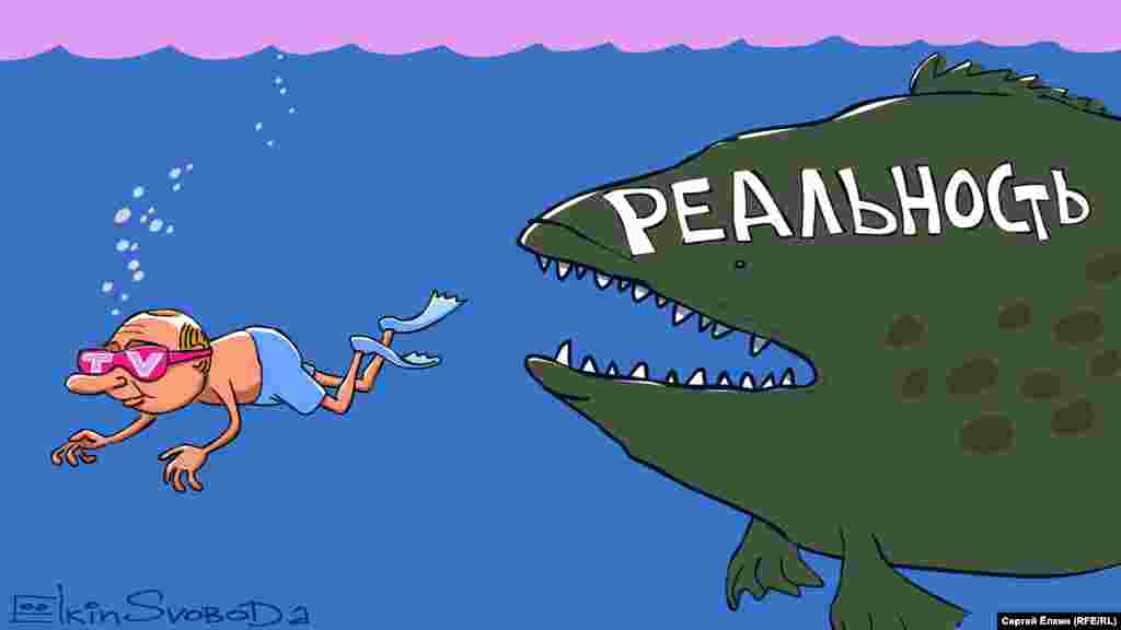 Автор: Сергей Елкин.