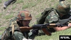 Военные эксперты отмечают, что у института резервистов в Грузии проблемы системного характера: нет четкой политики и плана