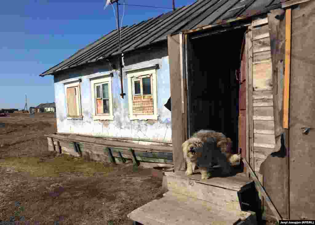 Чукотканың байырғы тұрғындары тұратын үй.