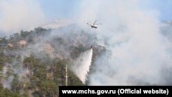 Лесной пожар в заповедной зоне Крыма, иллюстрационное фото