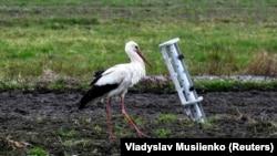 Тимчасова окупація призводить до економічних збитків для всієї території України – Марчук