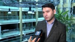 Հայկազ Ֆանյան