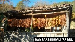 Вывешенная на балконе хурма