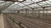 Armenia - A greenhouse in Ararat province, February 18, 2022