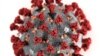 Cercetătorii de la Universitatea din Pittsburgh au descoperit un potențial vaccin împotriva SARS-CoV-2, noul coronavirus