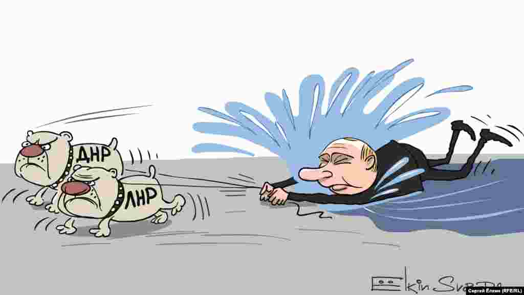 Автор: Сергей Елкин.