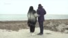 В Крым на батуте: почему судили украинского студента (видео)