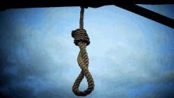 Иллюстрация.