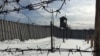 Мұражайға айналған «Пермь-36» лагері аумағындағы тікенек сымтемір. 