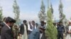 په خوست کې عامو خلکو د نیالګیو کېنولو، ساتلو او پاللو ته اوږه ورکړې